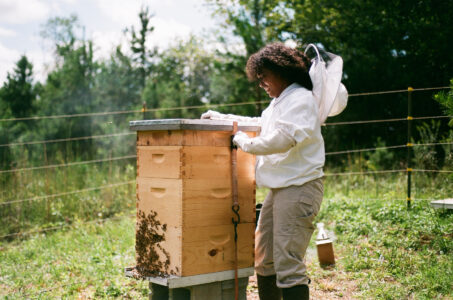 Traditional Wisdom Image